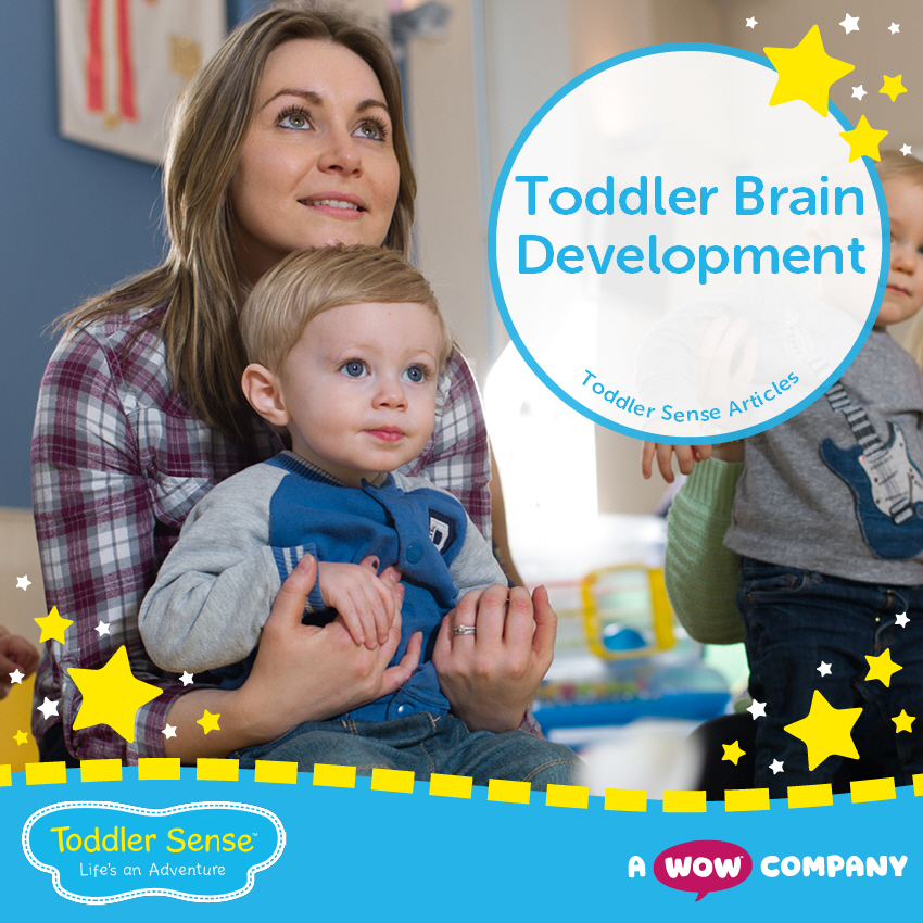 Toddler Brain Development