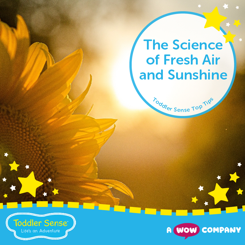 The science of Fresh air and sunshine